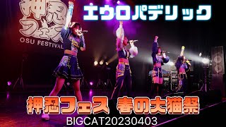 【4K60p】EUROPADELIC　エウロパデリック　押忍フェス〜春の大猫祭〜　BIGCAT　20230403