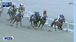 (Seoul) 2025.02.08 R10 Class 3 (1800M) Handicap