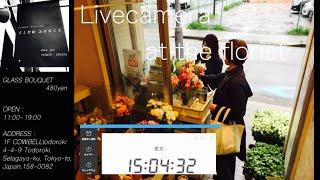 【Sun,3/26/2023 Livecamera at the florist】 スローダンス SLOWDANCE 等々力 尾山台 世田谷 Setagaya 東京 Tokyo 日本 Japan