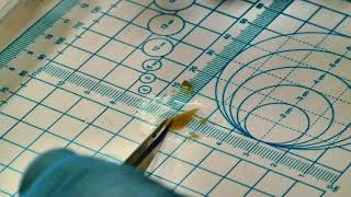 Tissue Cutting for TEM Processing