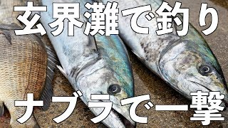 玄界灘で大物釣り！ジギング＆トップでナブラに突入！ワラサ、シーバス、チヌ