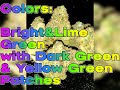 temple kush ih strain review budpedia