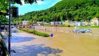 Hochwasser alte Brücke Heidelberg 2013