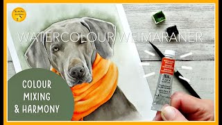 EASY COLOUR MIXING and HARMONY in WATERCOLOUR | Weimaraner DOG PAINTING with JUST 3 COLOURS!
