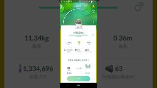 [Pokemon Go]2022年12月29日 大海粉蝶蟲 進化粉蝶踊 進化 彩粉蝶