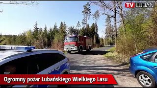 Pożar Lubańskiego Wielkiego Lasu