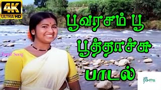 Poovarasam Poo || பூவரசம் பூ பூத்தாச்சு || S. Janaki Love Melody H D Video Song