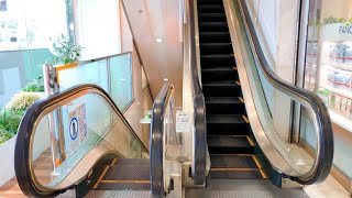 【エスカレーター 東芝製】浜松駅前 メイワン 西側 昇り 1→3階  TOSHIBA Escalator at May One Hamamatsu Station in Japan