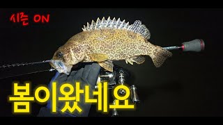 [쏘가리낚시] 봄봄봄 봄쏘가리 시즌 ON