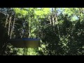 Up in the Trees from GLUCK+ on Vimeo
