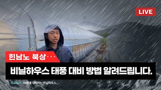 힌남노 상륙! 비닐하우스 태풍 대비방법을 알려 드립니다.