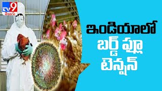 Bird flu confirmed in 7 States, Centre increases monitoring - TV9