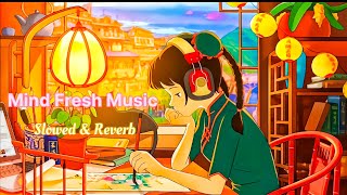 Mind Fresh Mashup|| Slowed & Reverb ||Arijit Sing Love Mashup Touching Songs|| lofi song #song#lofi|