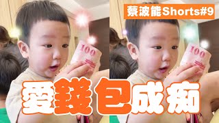 愛錢包成痴的一歲老嬰...【蔡波能 #shorts 】