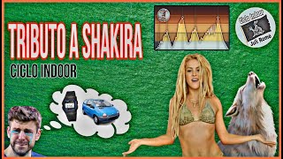 Clase de Ciclo Indoor Spinning Completa (Nº29): Tributo a Shakira