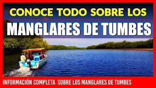 🟩 LOS MANGLARES DE TUMBES PERU 🟩 CONOCE TODO SOBRE LOS MANGLARES DE TUMBES