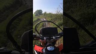 Sloppy mud puddle #youtubeshorts #dirtbike #offroad #bikelife #motovlog #vlog #crf250l #honda #fmf