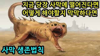 지금 당장 사막에 떨어져도 살아남기 위한 생존법칙