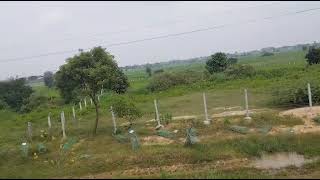 Agriculture Land For Sale in Chegunta Highway Facing Bir