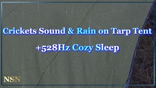 Crickets Sound and Rain on Tarp + 528Hz Solfeggio| Rain \u0026 Cricket Sounds Under the Tarp Tent 8 Hour