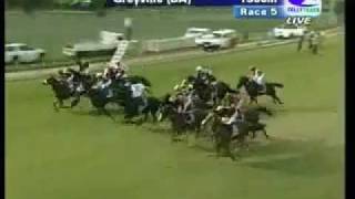 2012-01-31 Greyville - race 5