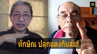 ‘ทักษิณ’ปลุกแดงกินส้ม หาเสียงด้วยแรงแค้น หวังยึดพื้นที่คืน ระวังพลังส้มสวนกลับย้ำแค้นอีกรอบ