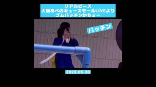 【リアルピース 】💙かちょー   2023.05.28大阪 あべのキューズモールLIVEより  ゴムパッチン※LIVEは歌って踊るかっこいいリアルピースです✌️🧩