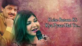 Pehle Kabhi Na Mera Haal (Lyrics) Udit Narayan || Alka Yagnik || Sameer || Aadesh Shrivastava