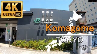 JAPAN Walking Tour in 4K | Komagome , TOKYO | 駒込