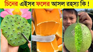 চাইনাতেই শুধু এত রসালো ও অদ্ভুত ফল কেন পাওয়া যায়..! 😱 || China Farm Fresh Ninja Fruit Cutting