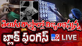 తెలుగు రాష్ట్రాల్లో విజృంభిస్తున్న బ్లాక్ ఫంగస్ LIVE || Black Fungus Outbreak - TV9 Digital