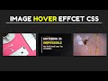 Image Overlay Hover Effects Using HTML and CSS