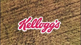 Kellogg Company and Sustainability