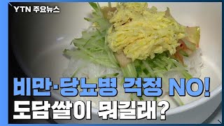 비만·당뇨병 걱정? '도담 쌀'로 해결 / YTN