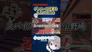 【VALORANT】ゲッコーの仕事をしようと思ったら #shorts #vtuber #valorant #ヴァロラント #ゲーム実況