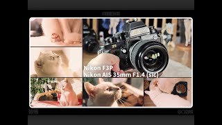 【除了画画啥都会】尼康ais 35 f1 4 sic 配nikon f3p 同时期最亮35镜头 小巧精干 敦实趁手 全开玄学画质 猫猫最爱 rdp3