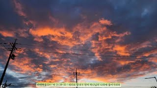 마태복음224 / 마 21:28~32 / 세리와 창녀가 먼저 하나님의 나라에 들어가리라