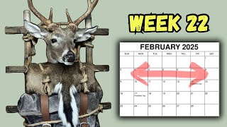 A Year in the Life of a Taxidermist! *WEEK 22* February 3-7