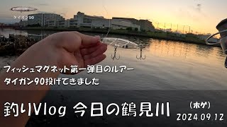 シーバス釣りVlog 今日の鶴見川 2024年9月12日（ホゲ）タイガン90投げてきた