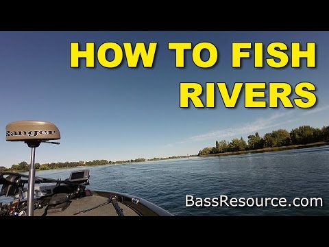 How To Catch River Bass | Bass Fishing How To Catch River Bass | Bass Fishing