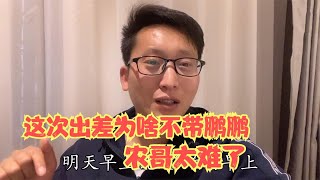 农哥杭州出差没带鹏鹏，遭到粉丝的质疑，看看农哥怎么说