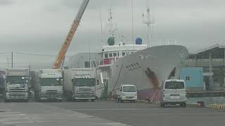 8月17日　第7福久丸のマグロツリー(7th Fukukyu Maru Tuna Tree)