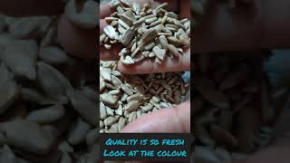 Unboxing sunflower seeds from Neuherbs