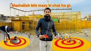 Ab maza aye ga kabootar bazi ka 😱 | Dar pigeons club |