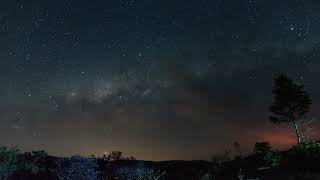 🌌✨ Celestial Symphony: Mesmerizing Time-Lapse of a Starry Sky in the Countryside 🌄🌠🎥✨