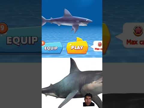 #tiburón #hungrysharkevo #hungrysharkevolution #hungryshark #evolución #babyshark #juegos