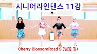 [시니어라인댄스 11강] Cherry Blossom Road S 벚꽃 길 Seonhee Lim (KOR) [SH LineDance Korea] KLSF 대한생활체육연합회