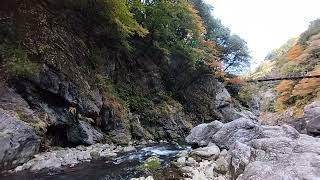 Hatonosu Valley🇯🇵Relaxing Music, Natural sound, Sound of the river, Leaves changing color, Tokyo