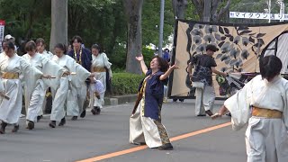 彩夏祭2024　関八州よさこいフェスタ　立教大学よさこい連 百合文殊　(8/4 公園通り北)