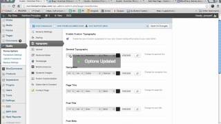 Typography Wootheme settings for Wordpress